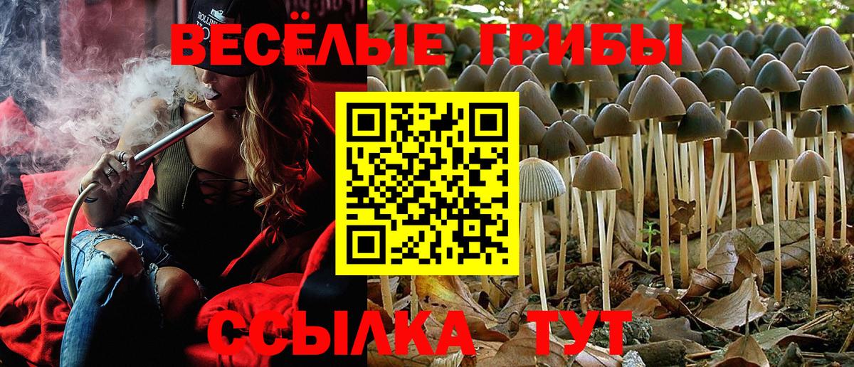 Псилоцибиновые грибы GOLDEN TEACHER Воркута