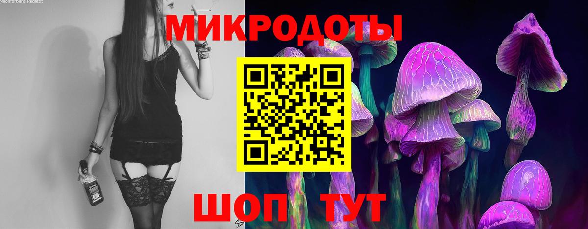 Воркута  Псилоцибиновые грибы GOLDEN TEACHER  Вход с VPN 
